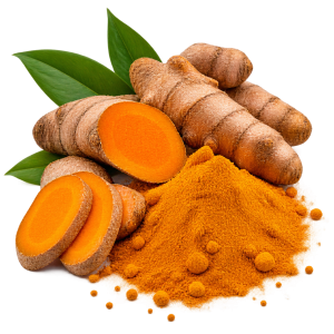 Turmeric Extract