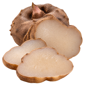 Konjac Root