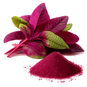 Red Spinach Extract