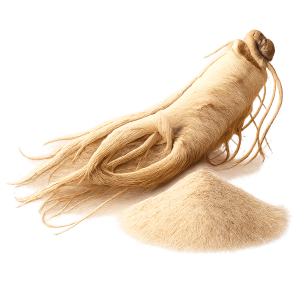 Panax Ginseng Root